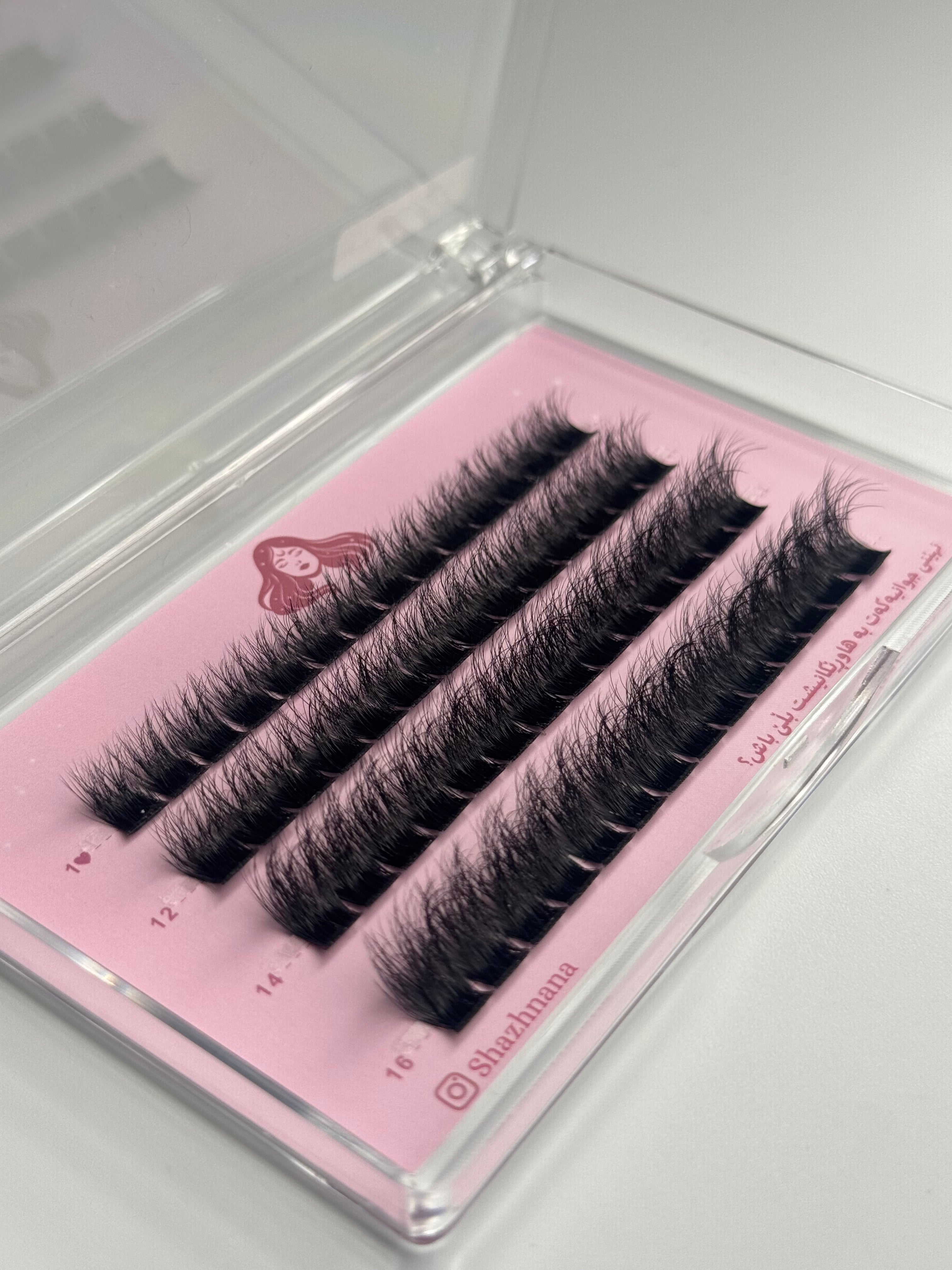 Queen- شاژن