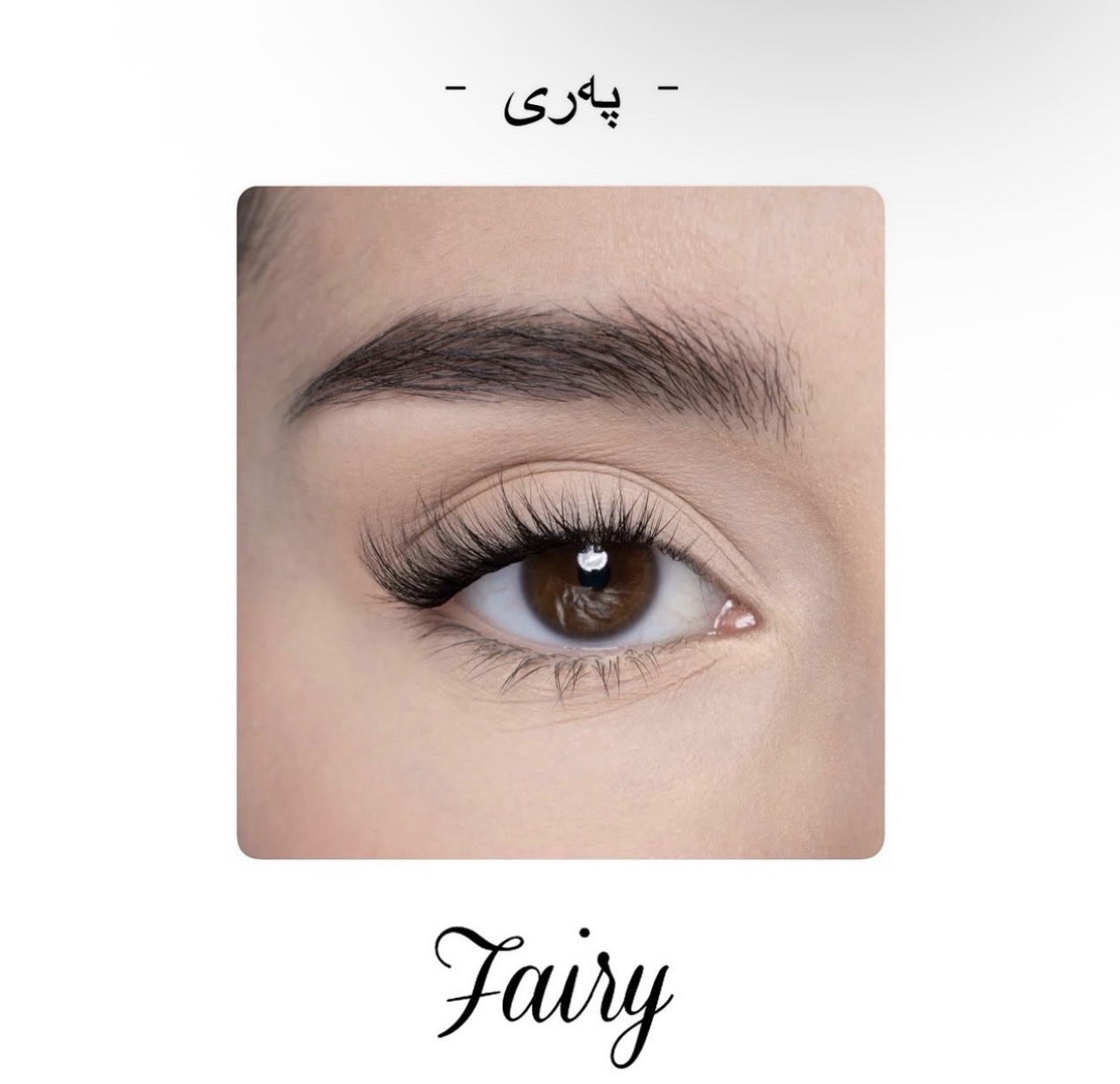 SHAZHNANA Fairy پەری