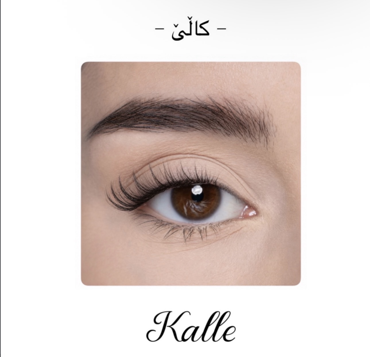 SHAZHNANA Kalle کاڵێ
