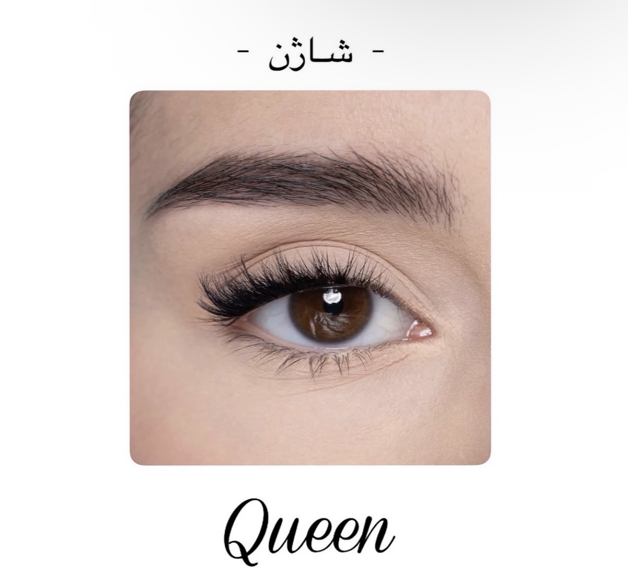 screenshot-8 SHAZHNANA Queen شاژن