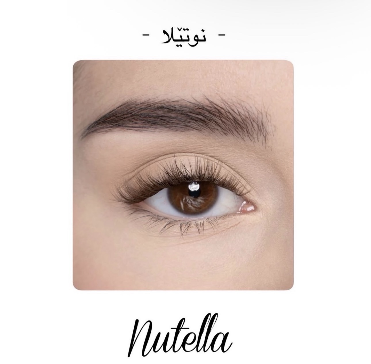 SHAZHNANA Nutella – نوتێلا